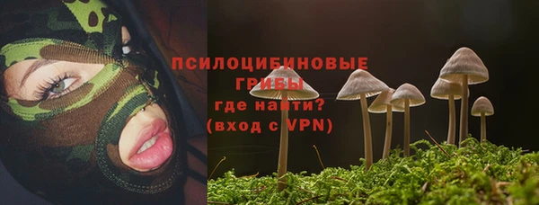 MDMA Бородино