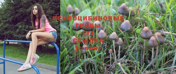 MDMA Бородино